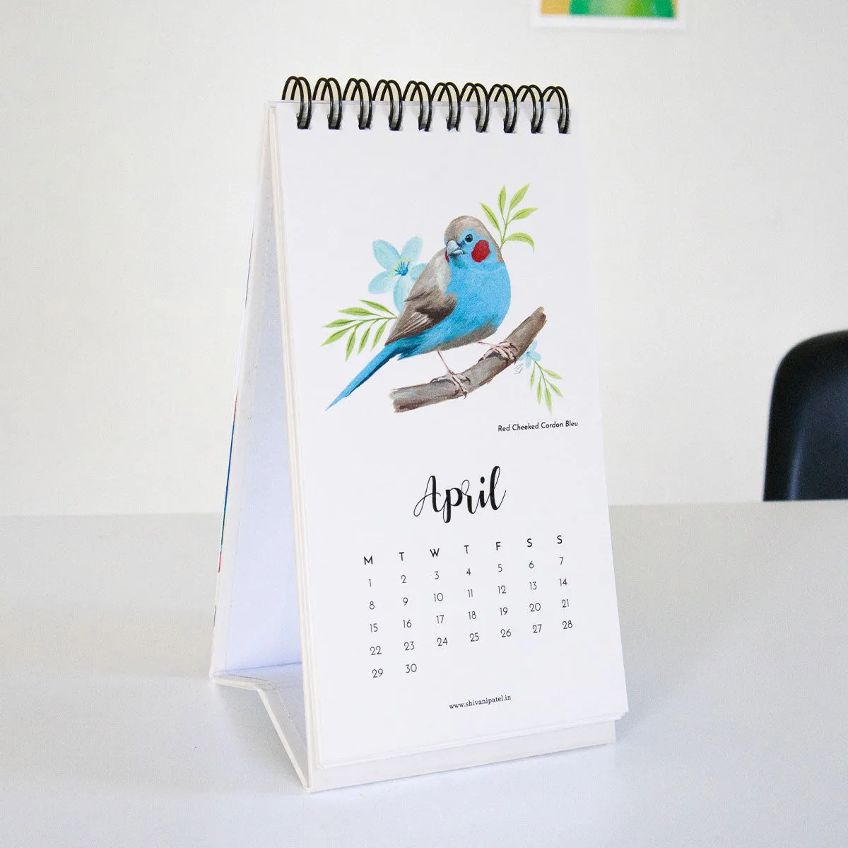 2024 Desk Calendar - The World of Birds