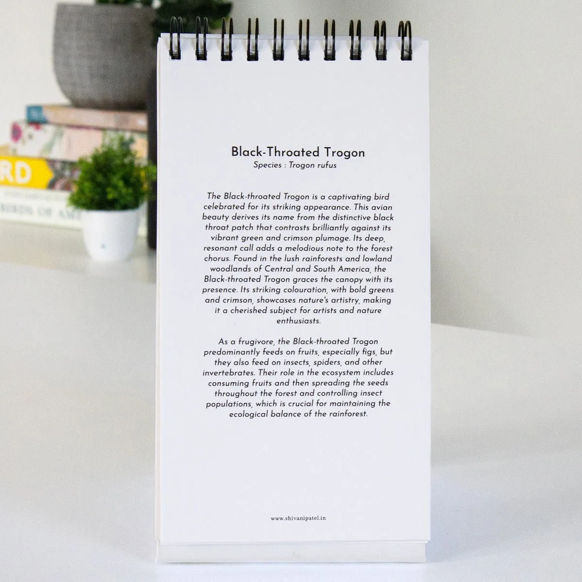 2024 Desk Calendar - The World of Birds