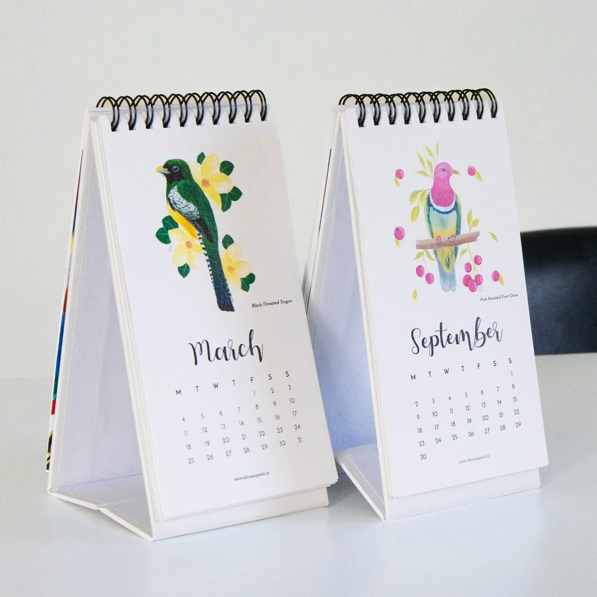 2024 Desk Calendar - The World of Birds