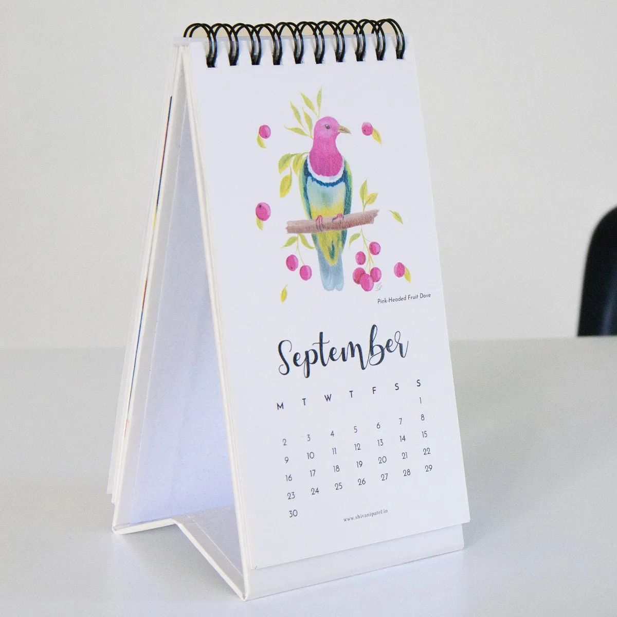 2024 Desk Calendar - The World of Birds