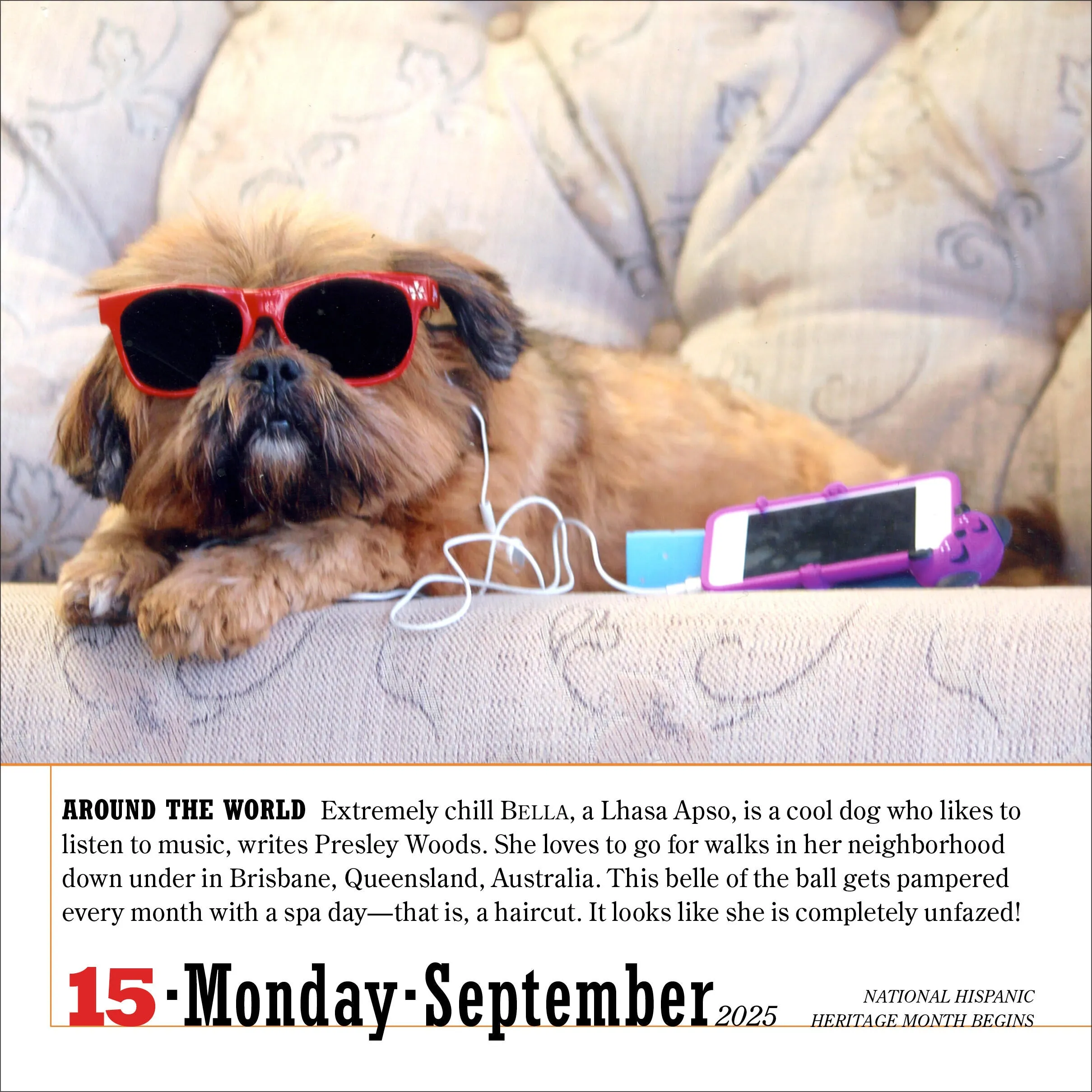 2025 365 Dogs Page-A-Day Calendar