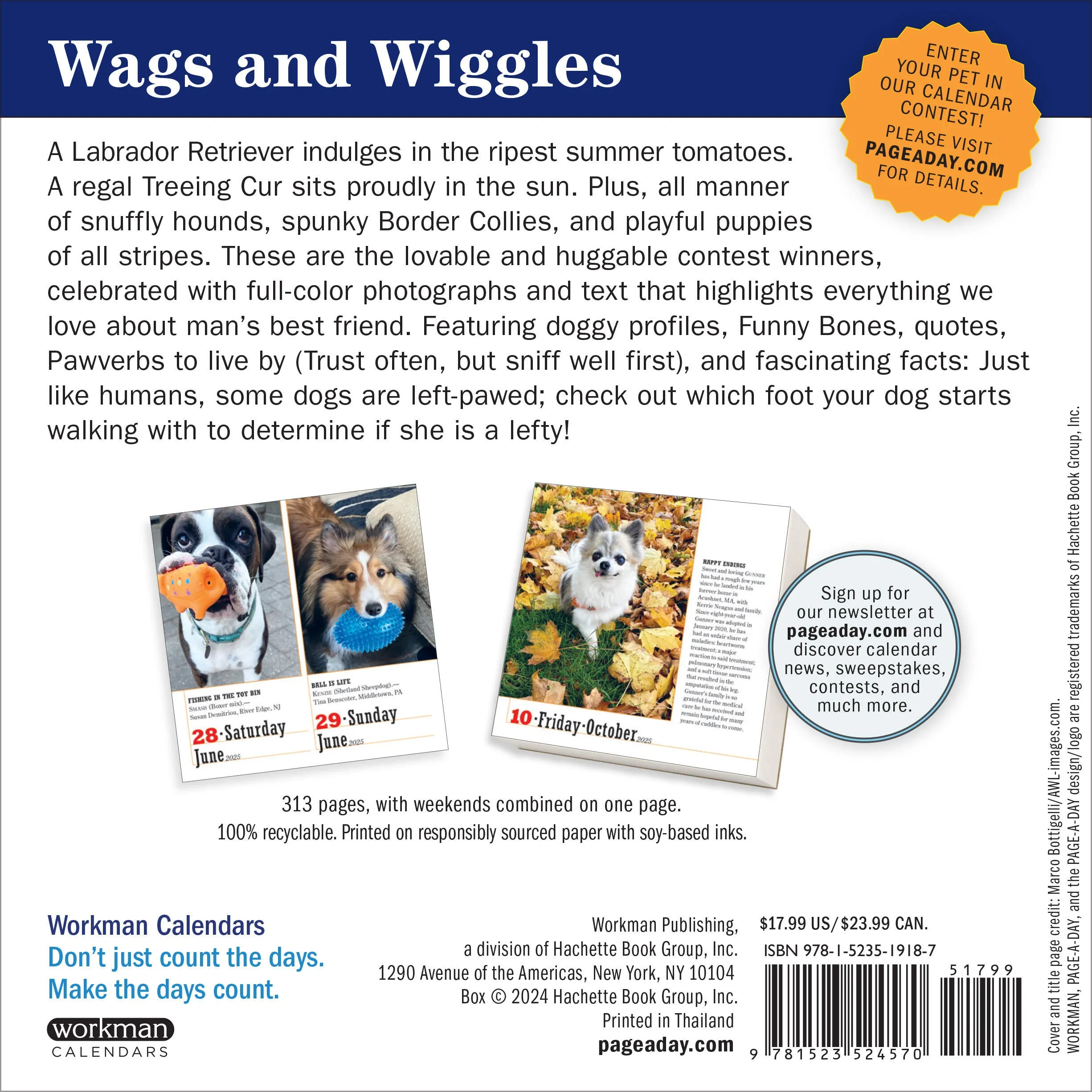 2025 365 Dogs Page-A-Day Calendar
