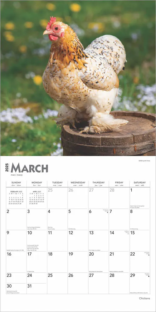 2025 Chickens Wall Calendar