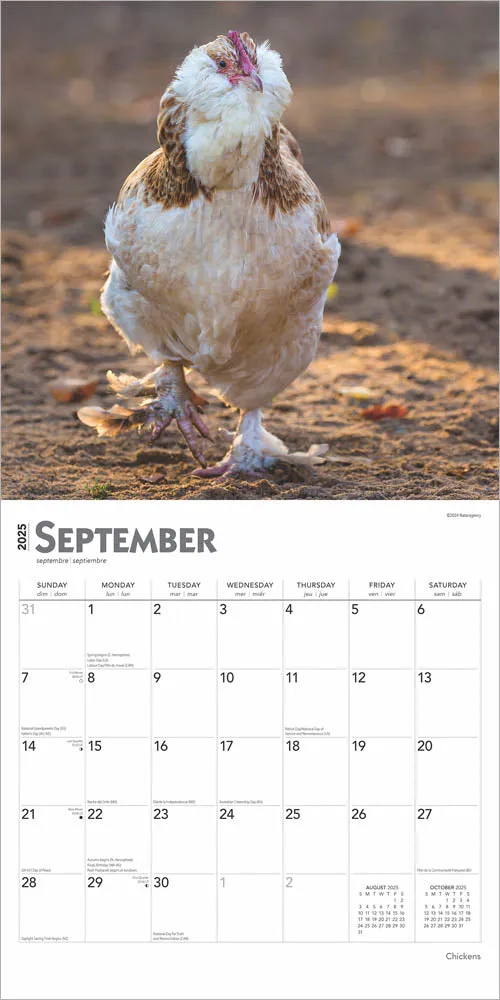 2025 Chickens Wall Calendar