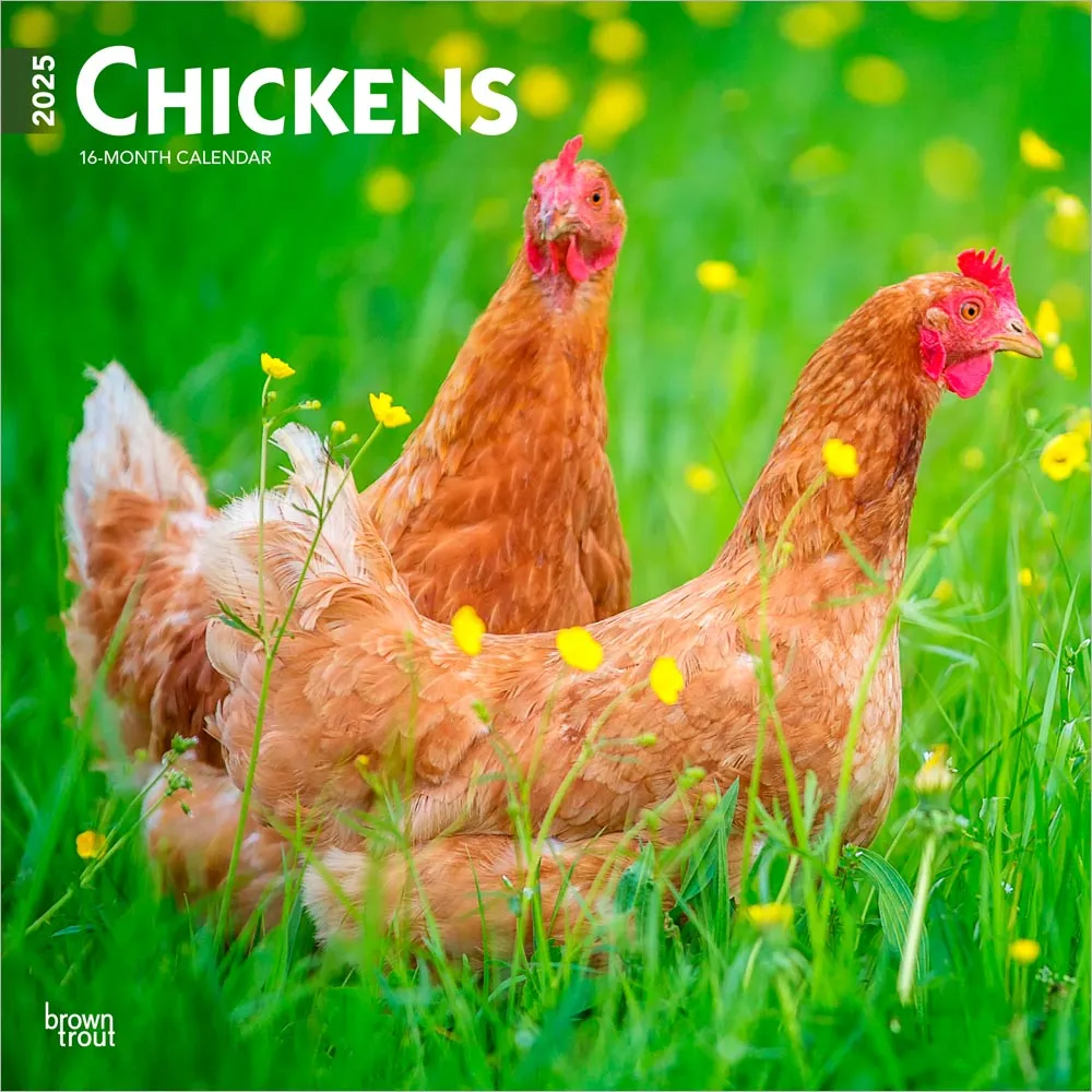 2025 Chickens Wall Calendar