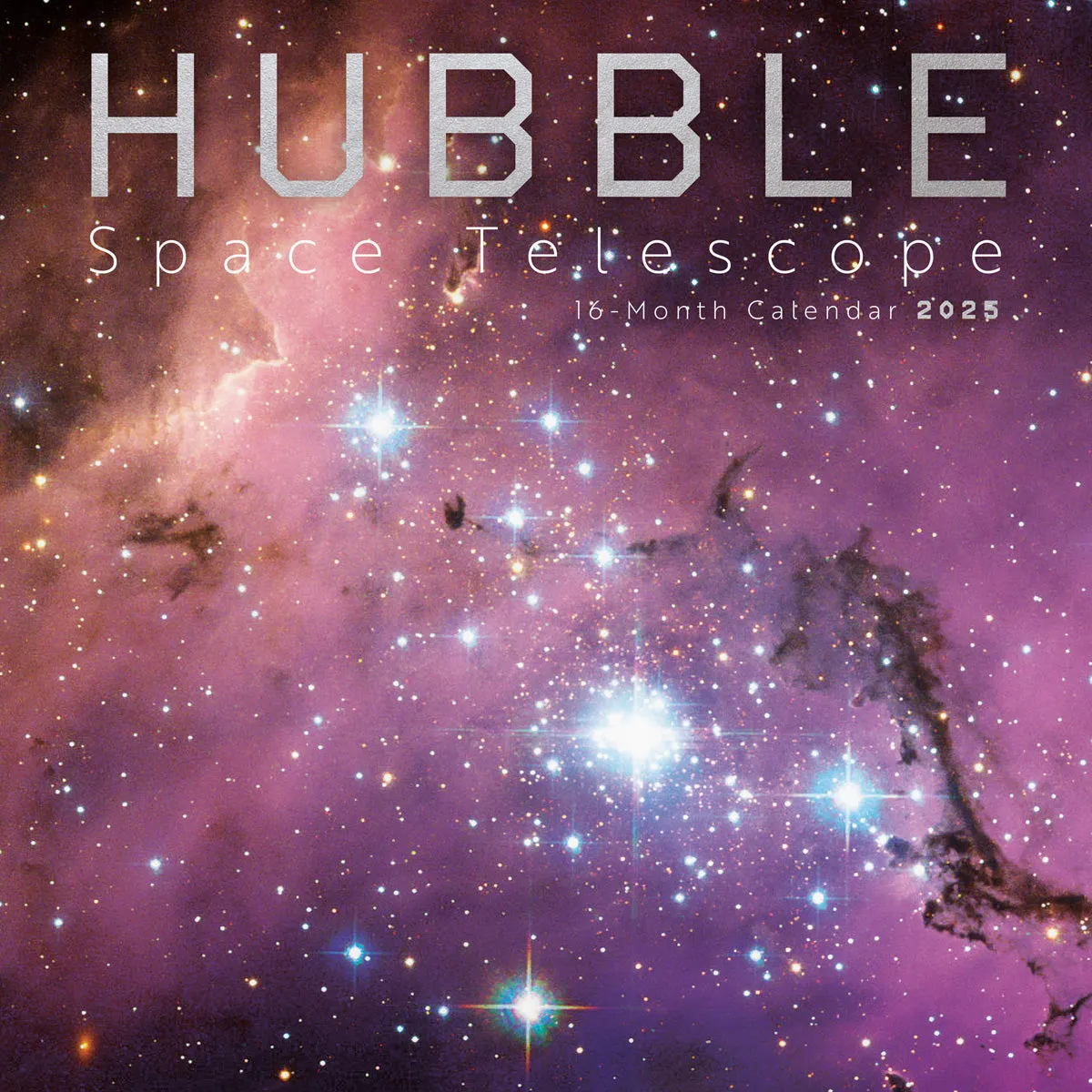2025 Hubble Space Telescope Wall Calendar