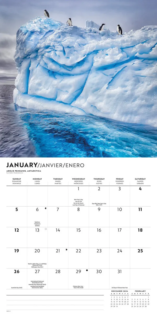 2025 Passports to the World Wall Calendar