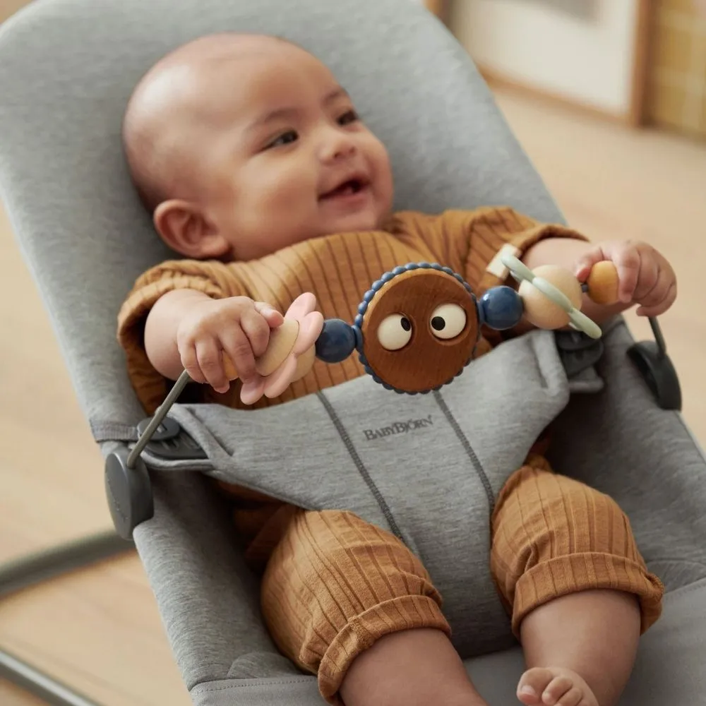 Baby Bjorn Toy For Bouncer