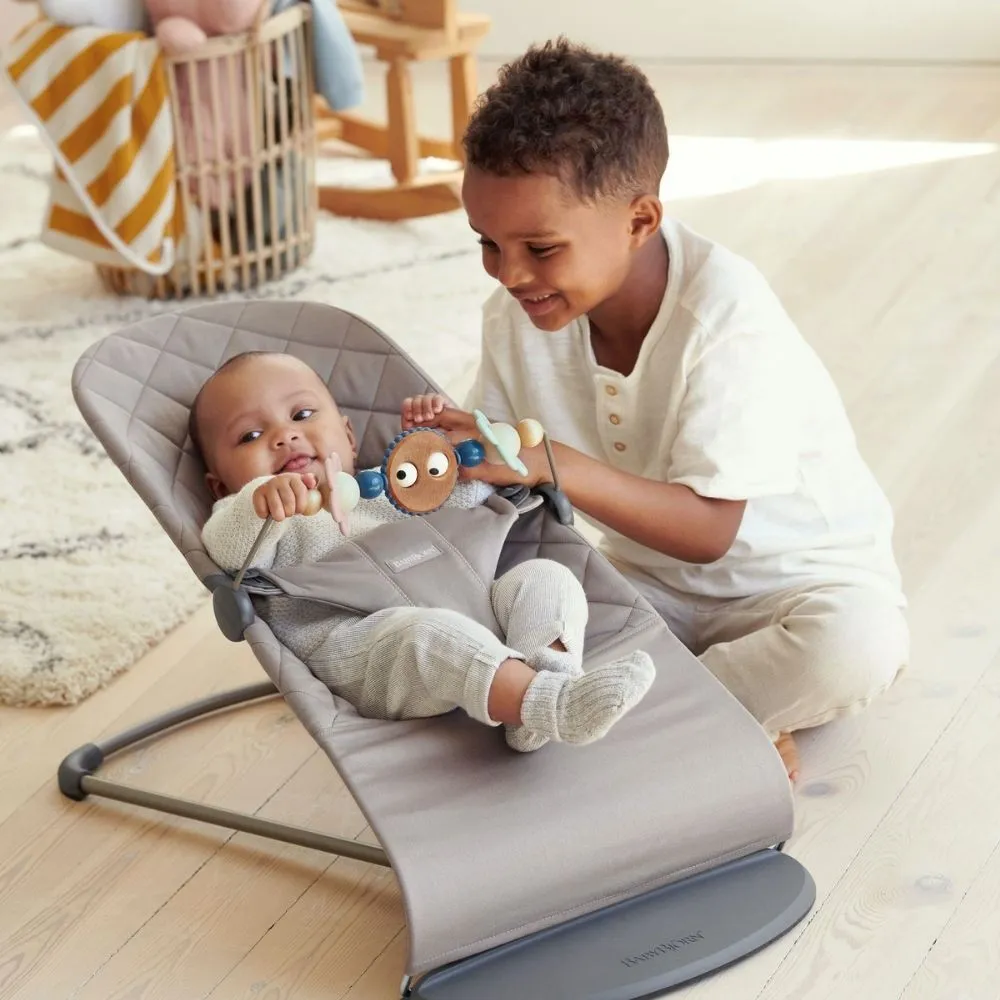 Baby Bjorn Toy For Bouncer