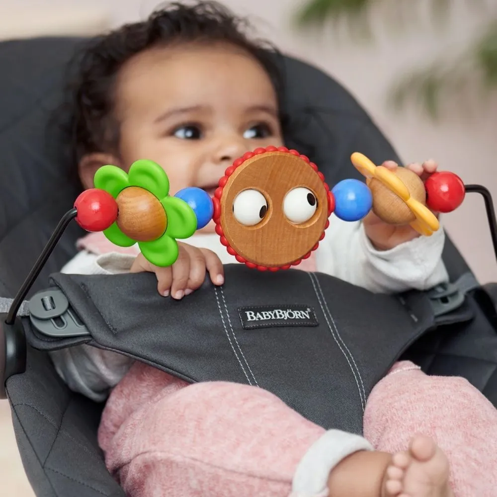 Baby Bjorn Toy For Bouncer
