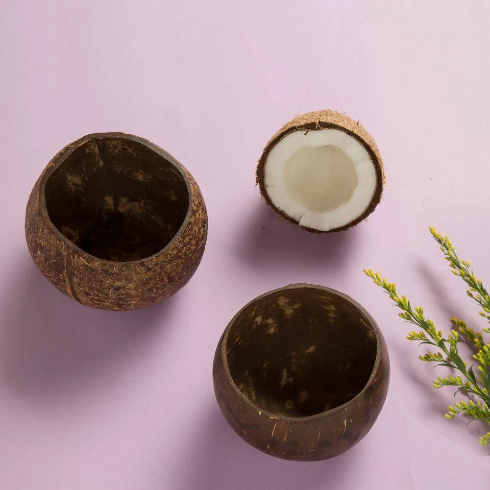 Coconut Bowl & Coconut Wood Cutlery | Naturally Polished Bowl