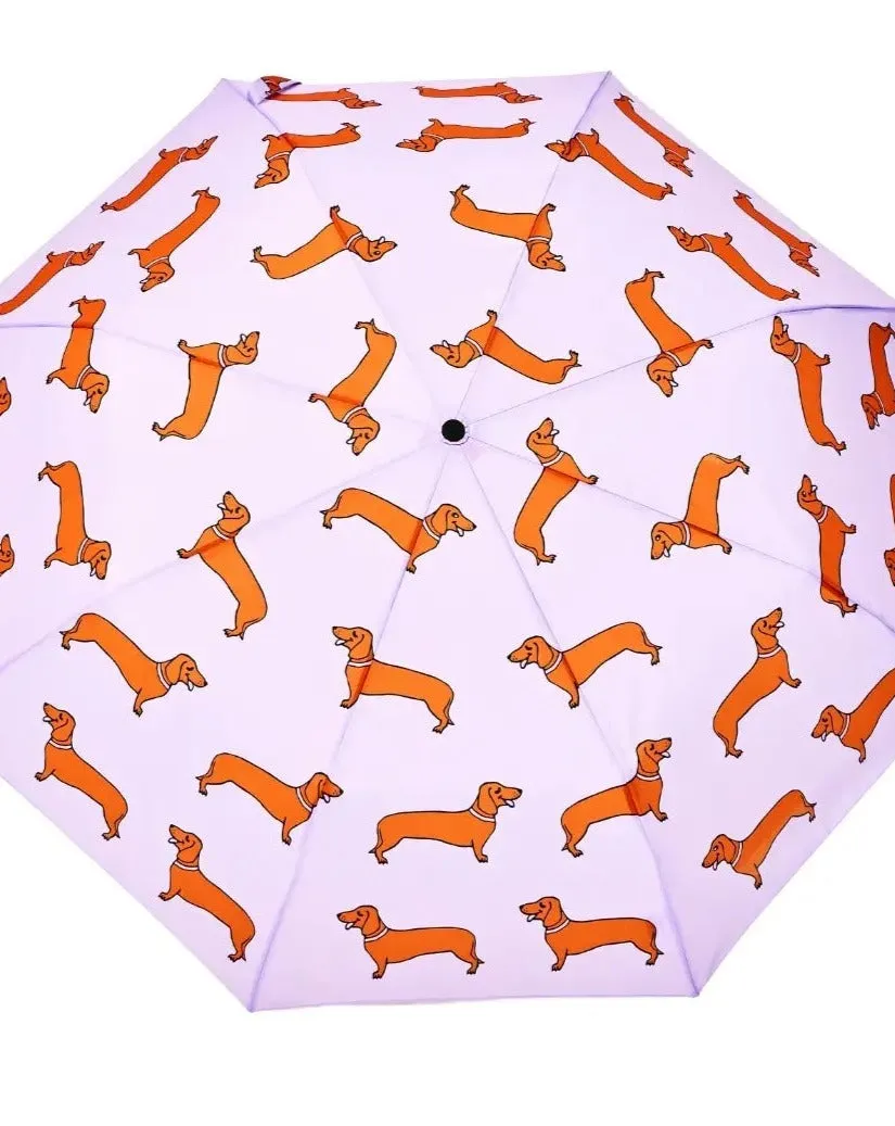 Compact Umbrella in Dachshund