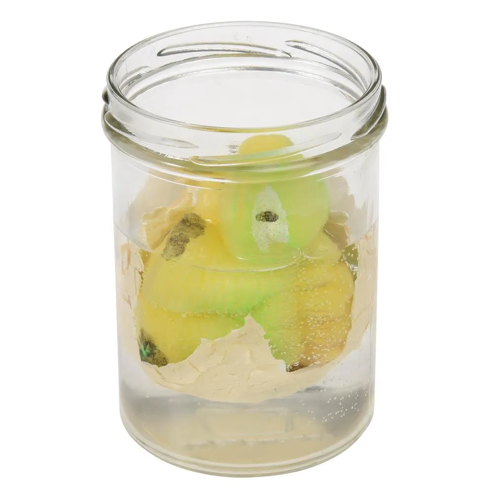 Hatch Your Own Dinosaur Egg